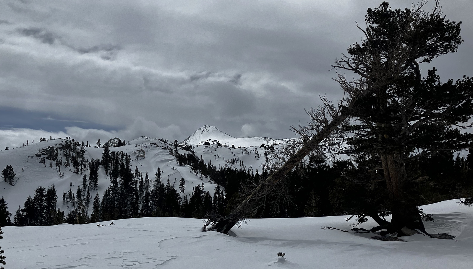 Johnson Peak on March 6, 2024.