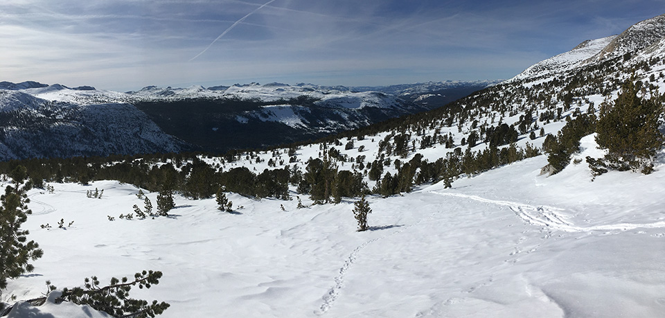 Looking down Lyell Canyon on March 5, 2021.