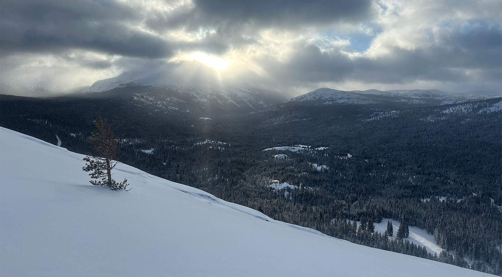 Looking towards Lyell Canyon on February 7, 2024.