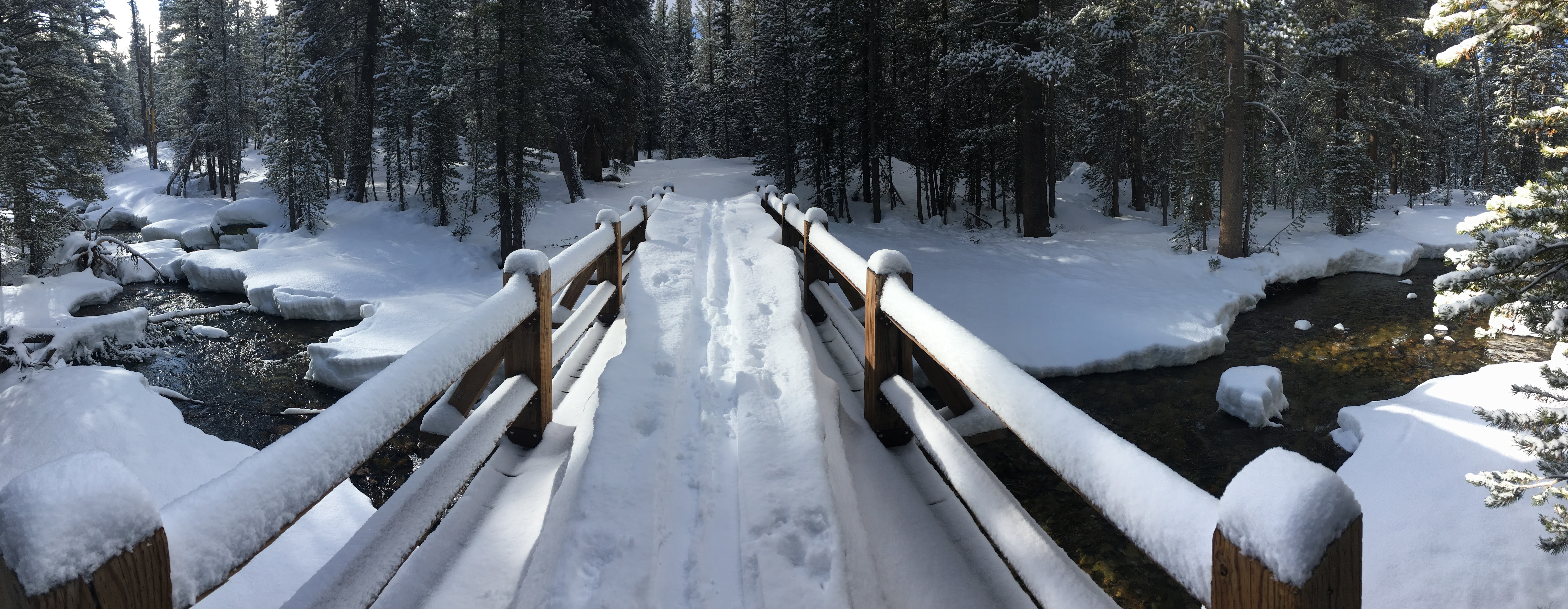 Snow covered bridge across a creek that is surrounded by snow; ski tracks across the snow on the bridge