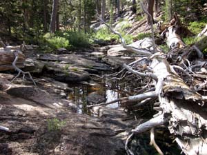 Middle Fork Tuolumne River