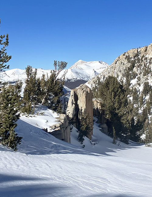 Mt. Conness and whitebark pines on February 8, 2025. Mt. Conness and whitebark pines on February 8, 2025.