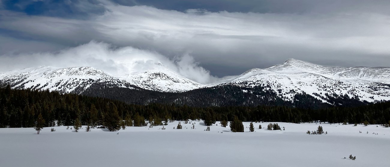 Flat snowy area with snowy forested mountains in the background; snow banners blow from the peaks on a cloudy day