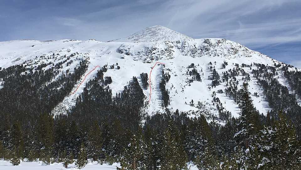 Natural avalanches on west slopes of Mt. Dana; photo January 31, 2021.