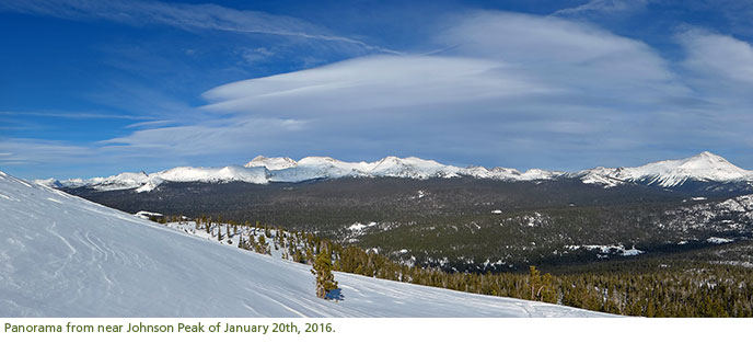 Tree covered valley with snowy mountains in the distance.