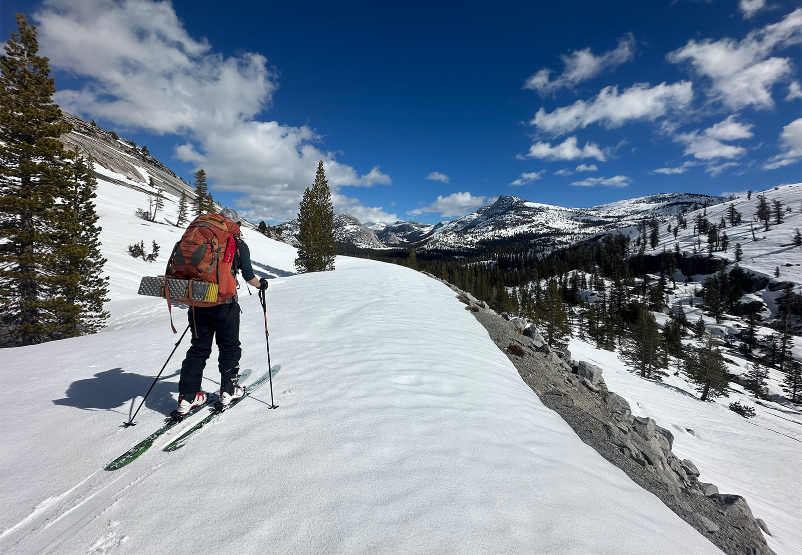 Park visitor ski touring along the Tioga Road on March 2, 2026.
