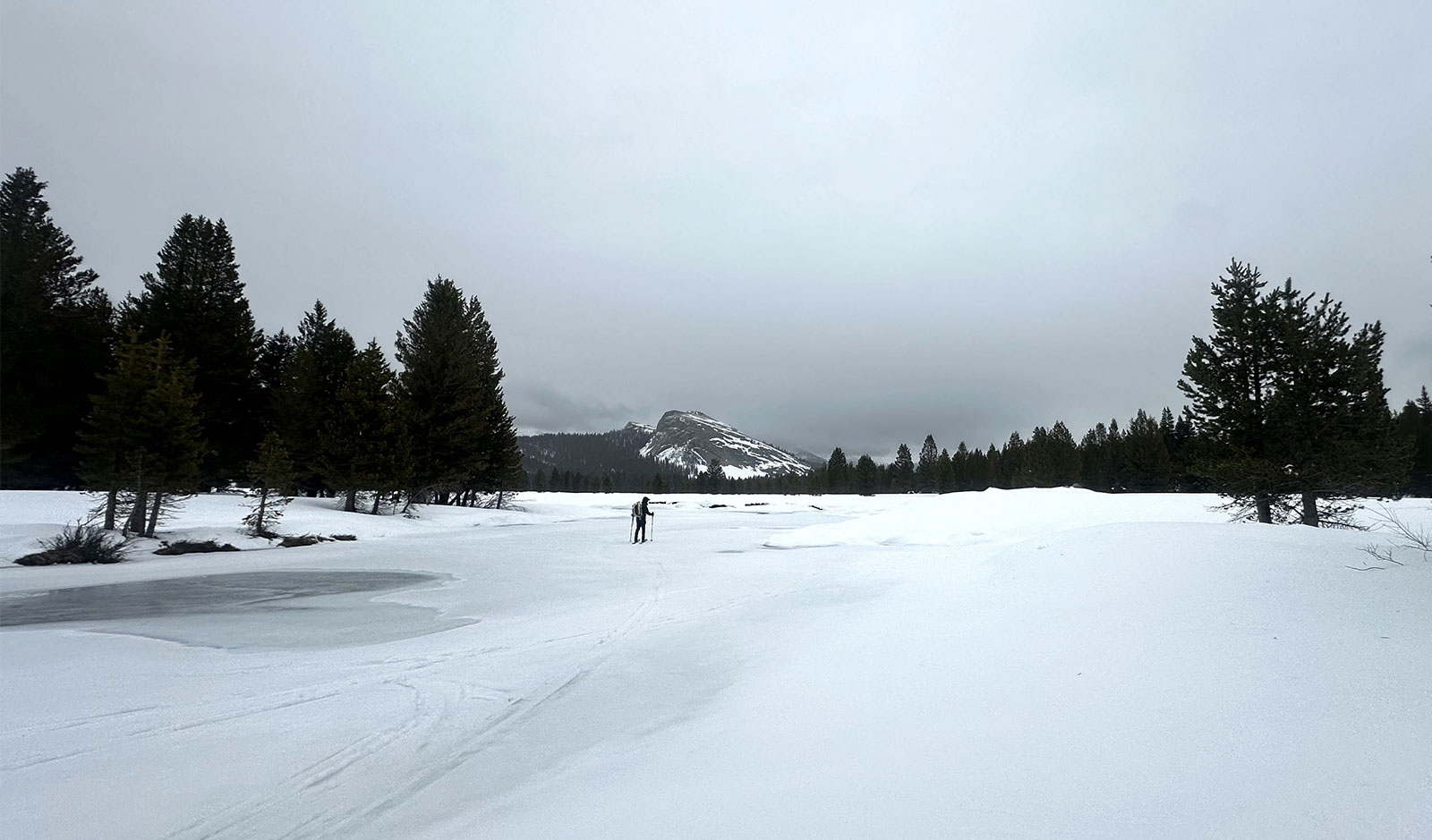 Rainy New Year's Eve, Tuolumne River, 2025.