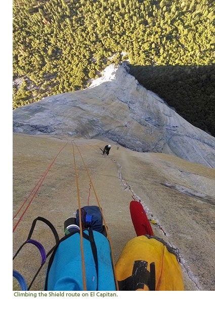 Looking down from a climbing route on El Capitan, trees far below.