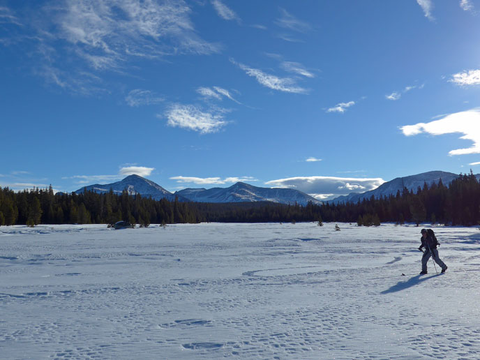 Person skiing through a snowy meadow