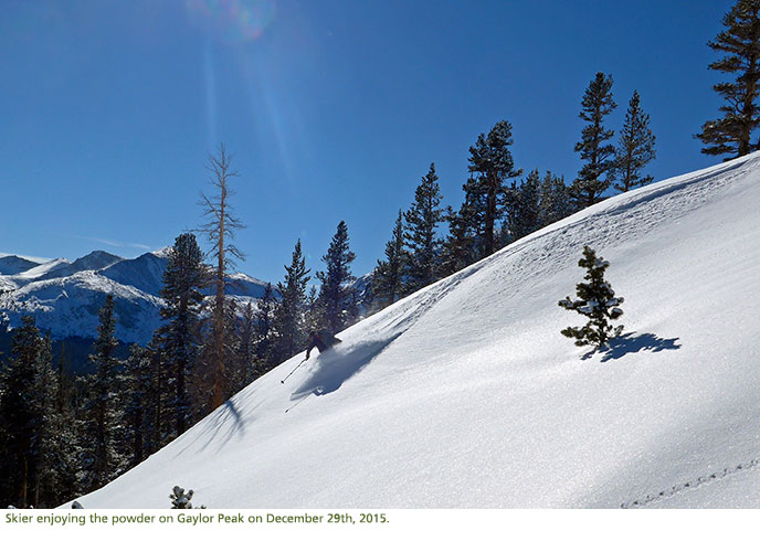 Skier enjoying fresh powder on Gaylor Peak. 