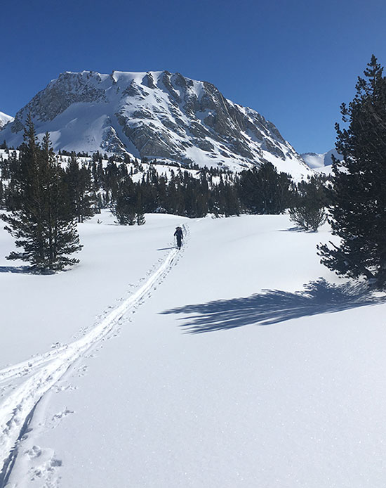 Skiing home from the Fletcher 2 snow survey on March 26, 2023.
