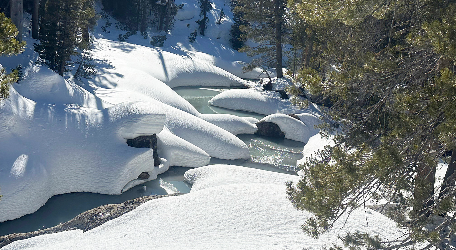 Snowmelt along Lyell Fork on April 2, 2024.