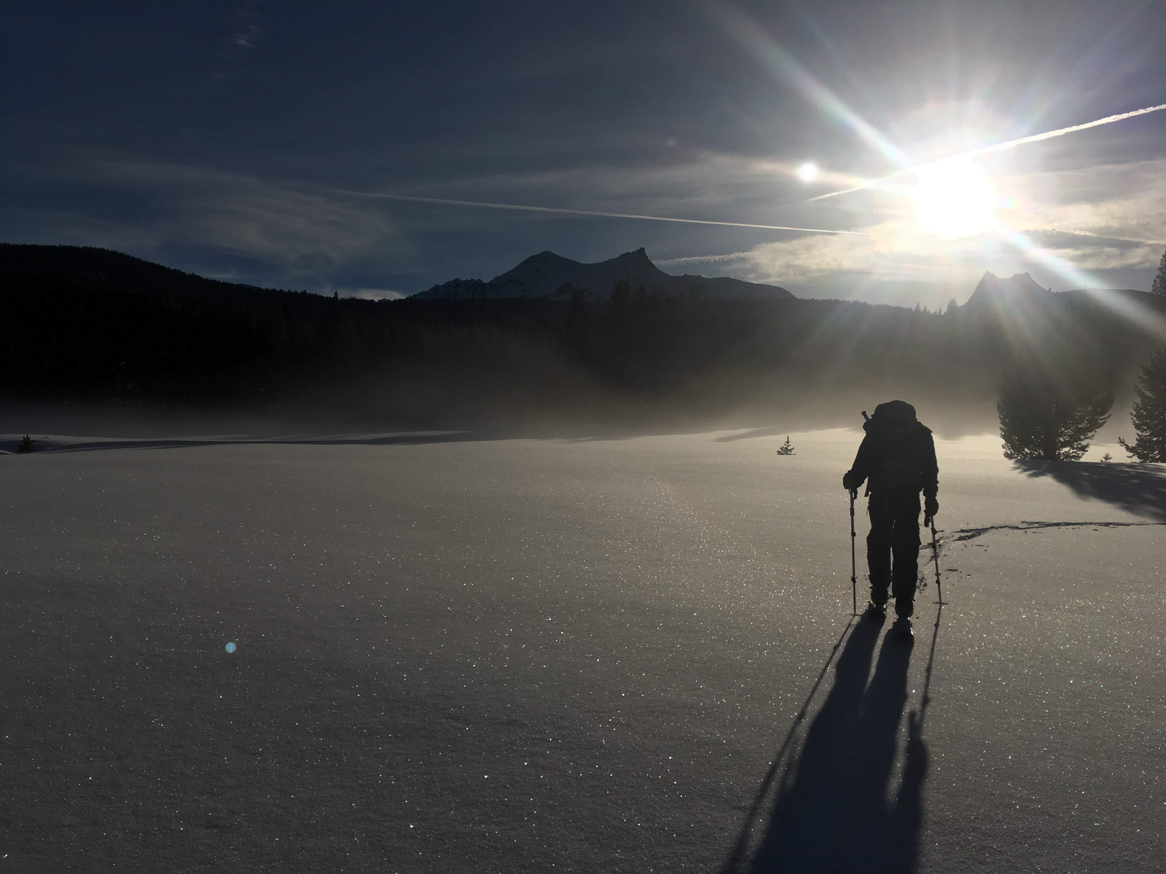 Single person on skis stands backlit by golden sun and shining snow