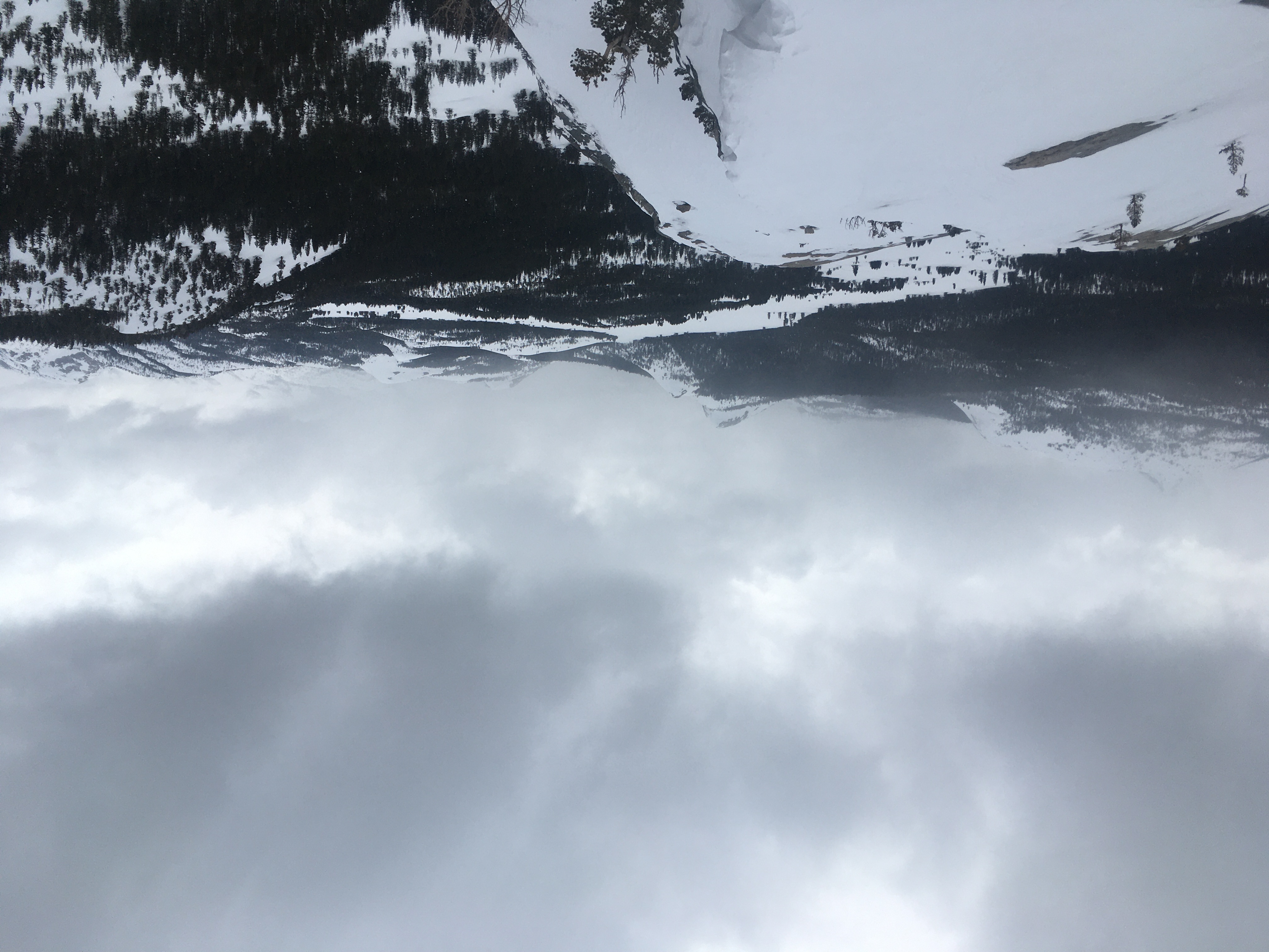 Photo showing view from Lembert Dome over and beyond Tuolumne Meadows; everything is covered in snow except the trees are green