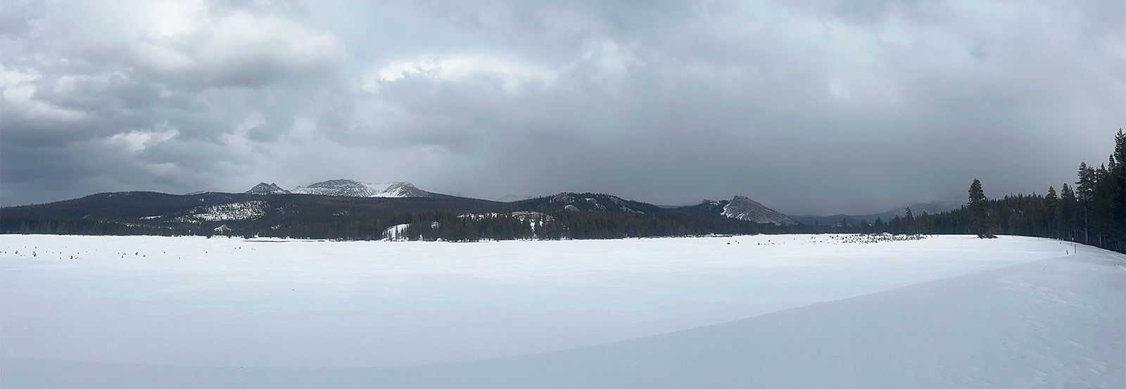 Tuolumne Meadows on January 25, 2025. Tuolumne Meadows on January 25, 2025.