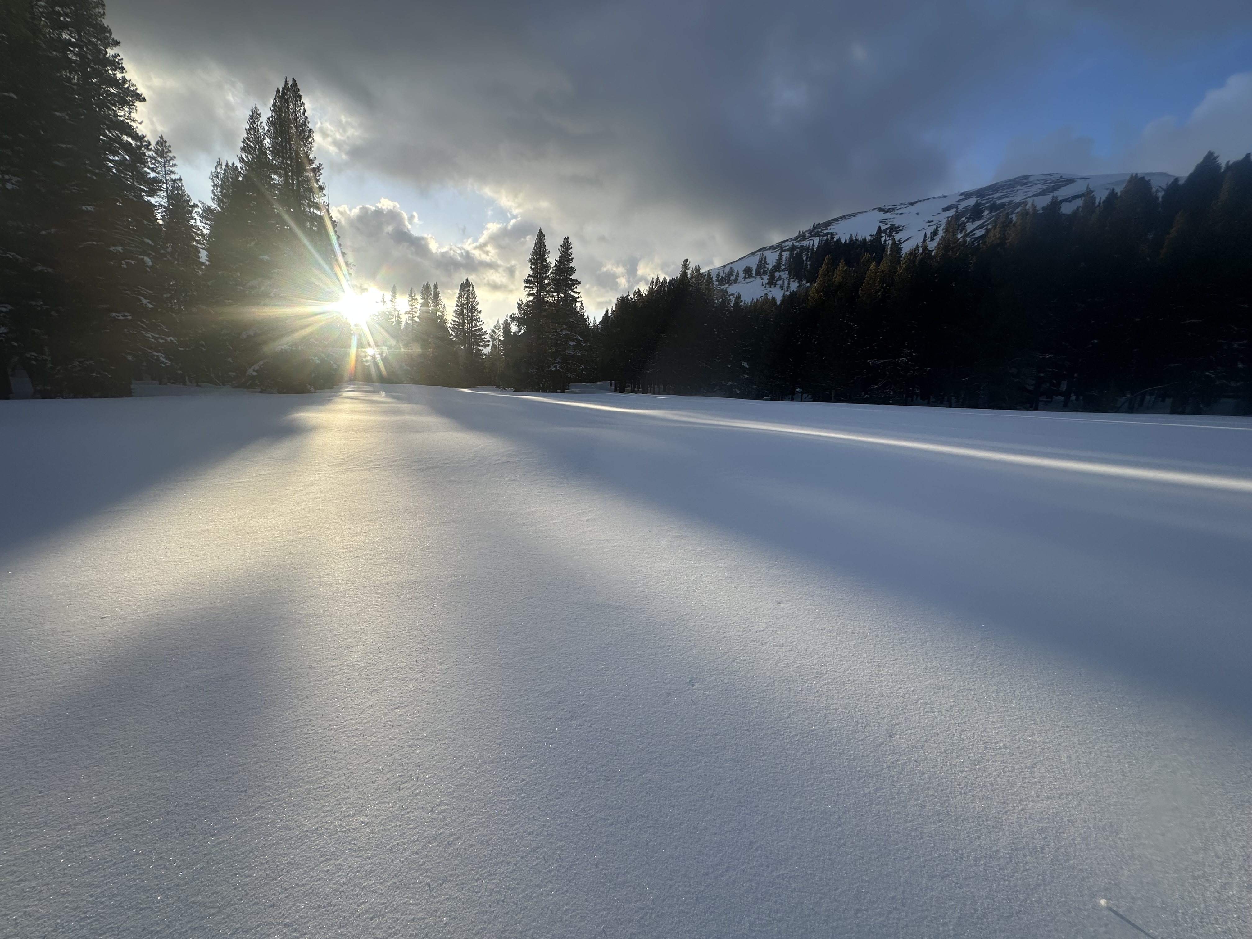 Sun goes down for another winter season in Tuolumne, April 3, 2025 Setting sun glistening through the trees onto an untouched snowy meadow