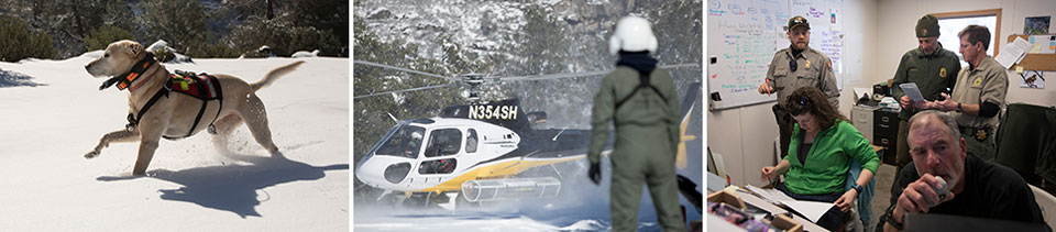 Three photos showing rescue dog running in snow. helicopter and ranger in snow, and rescue personnel in incident command post Three photos showing rescue dog running in snow. helicopter and ranger in snow, and rescue personnel in incident command post
