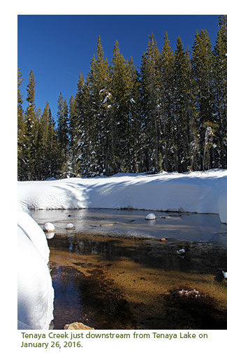 Creek with several feet of snow on its banks.