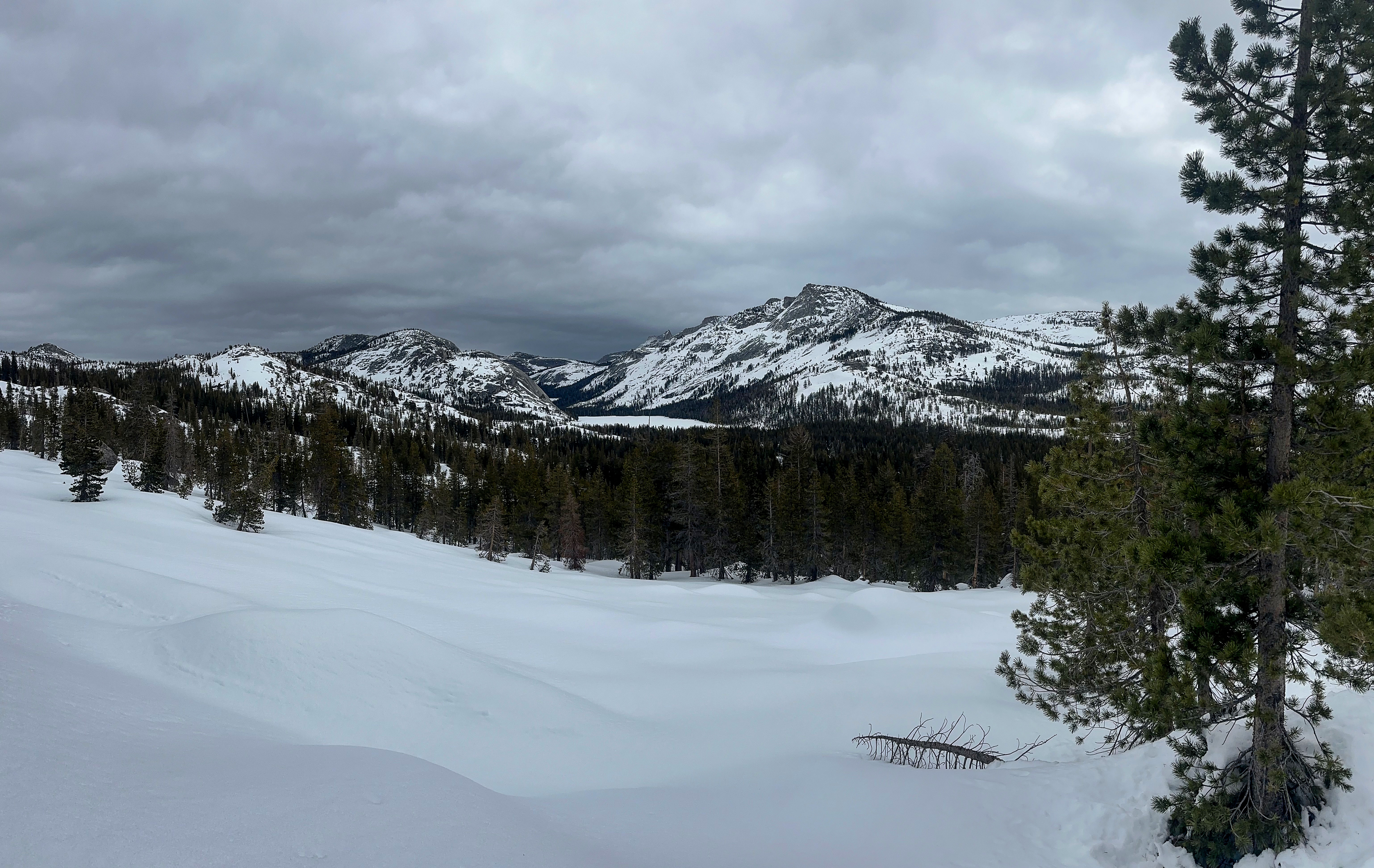 Tenaya Peak and Lake Tenaya Peak rises above frozen Tenaya Lake off in the distance; snow and forest in the foreground