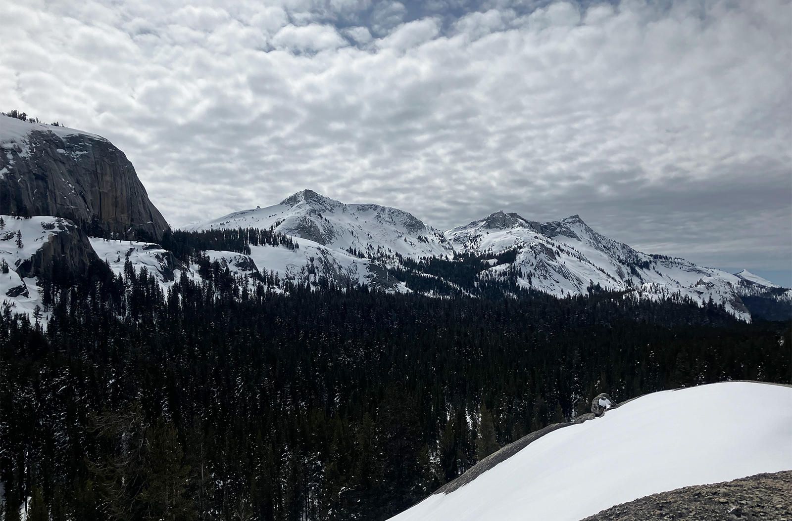 Tenaya Peak ridge on March 28, 2024. Tenaya Peak ridge on March 28, 2024.