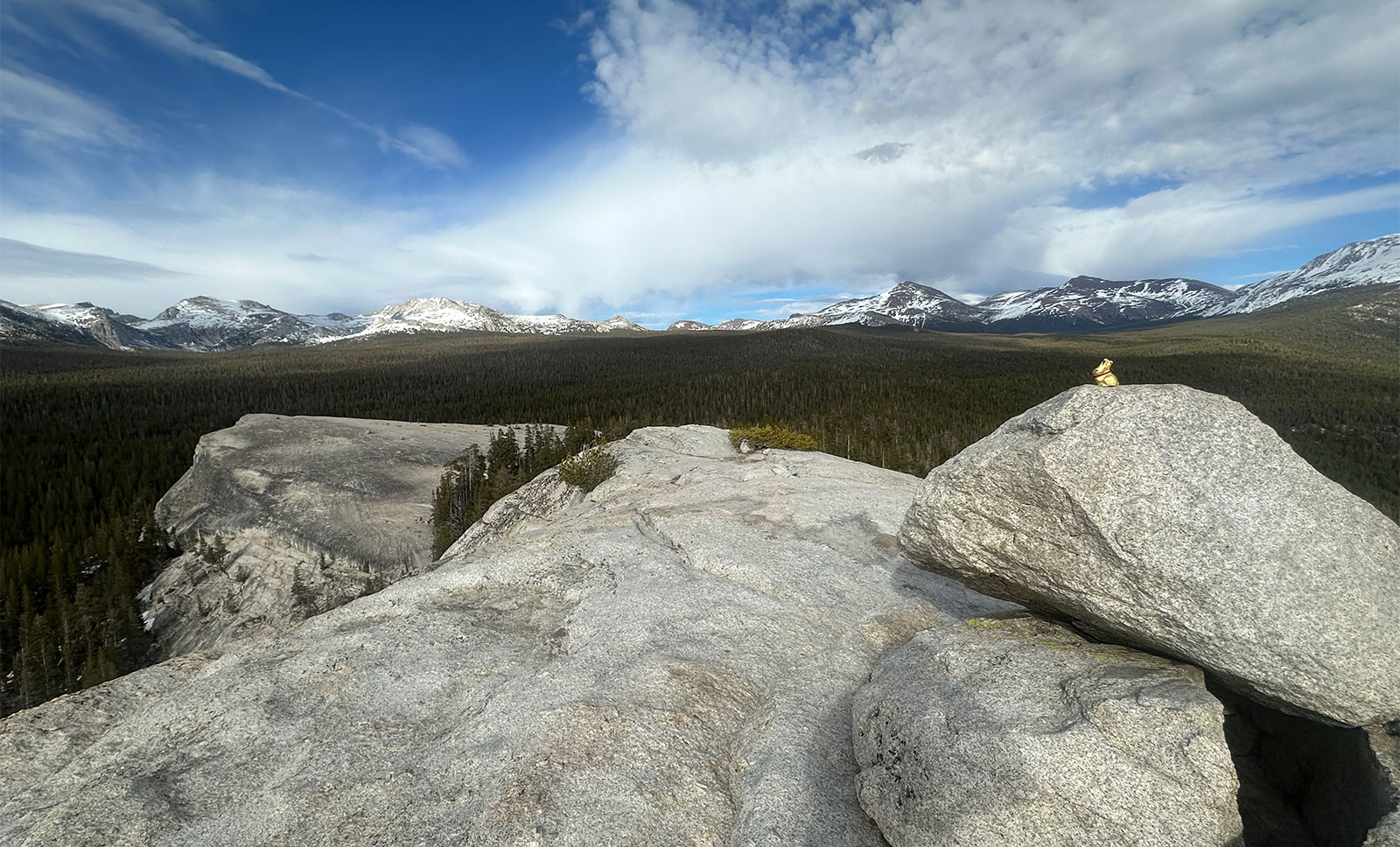 The Golden Bunny on April 5, 2026.