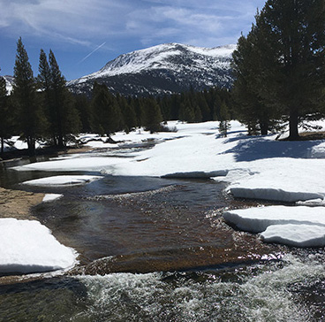The Lyell Fork of the Tuolumne River opening up at Twin Bridges on April 12, 2021. The Lyell Fork of the Tuolumne River opening up with melting snow at Twin Bridges on April 12, 2021.