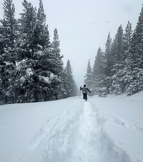 Trail breaking first twenty four hours of the storm on February 17, 2026.