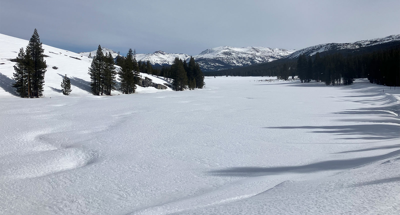 Tuolume Meadows on January 25, 2026.