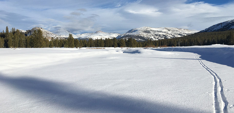 Tuolumne Meadows blanketed with snow plus some ski tracks on December 9, 2022