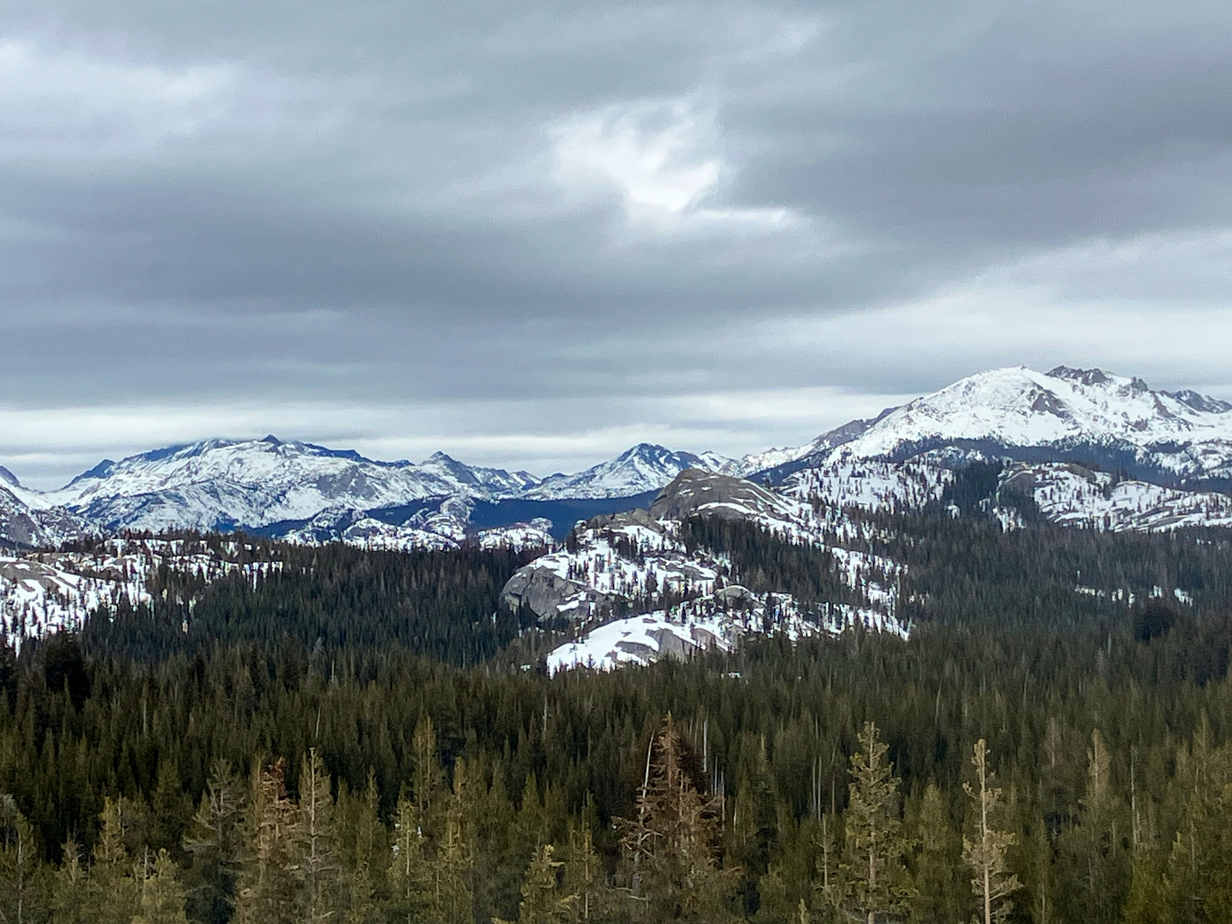 Tuolumne Meadows Domes and peaks surrounding Tuolumne Meadows rise in the distance from the surrounding forest