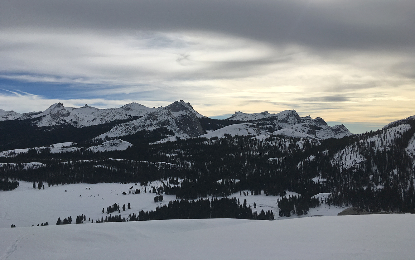 Snowy peaks and dark forests under a cloudy winter sky