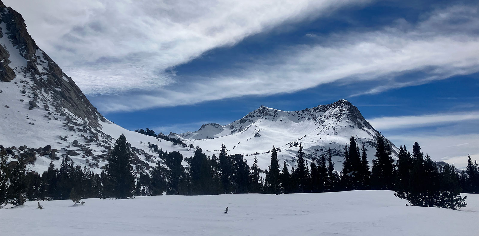 Vogelsang Peak on February 23, 2026.