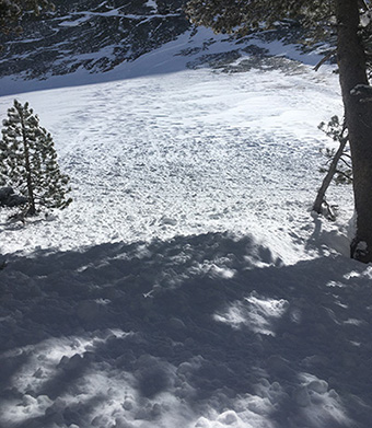 Wind Slab avalanche on the north slopes of Lembert Dome, March 15, 2021.