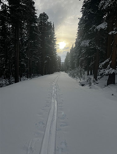 Winter solstice on the Tioga Road on December 21, 2023.