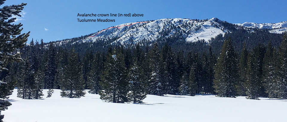 Avalanche crown line (shown in red) above Tuolumne Meadows occurring on north facing slope and gully on April 5-6, 2020. Avalanche crown line (shown in red) above Tuolumne Meadows occurring on north facing slope and gully on April 5-6, 2020.
