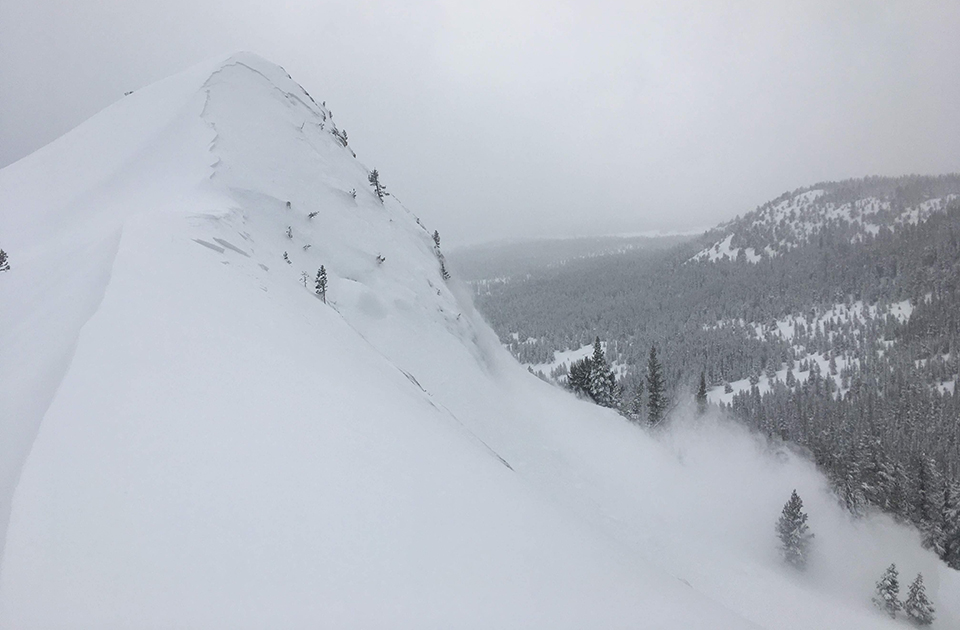 Avalanche on the North Side of Lembert Dome on March 2, 2019.