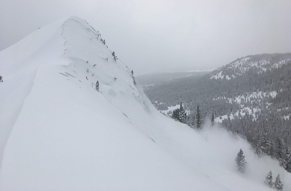 Avalanche on the North Side of Lembert Dome on March 2, 2019. Avalanche on the North Side of Lembert Dome on March 2, 2019.