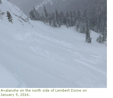 Avalanche on the north side of Lembert Dome on January 9, 2016 Avalanche on the north side of Lembert Dome on January 9, 2016