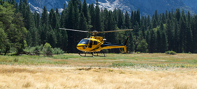 Helicopter landing in Ahwahnee Meadow - Hiking Safe on Yosemite - Yosemite Search and Rescue (YOSAR)