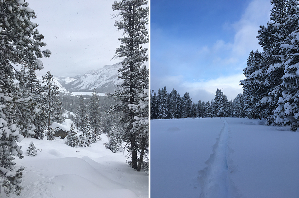 Left photo shows Tenaya Lake with fresh snow on January 25, 2021. Right photo shows fresh snow after the storm with ski tracks on January 29, 2021. Left photo shows Tenaya Lake with fresh snow on January 25, 2021. Right photo shows fresh snow after the storm with ski tracks on January 29, 2021.