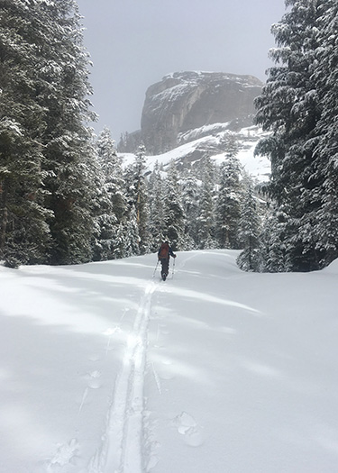 Skier on the Tioga Road with Daff Dome in background on January 27, 2020.