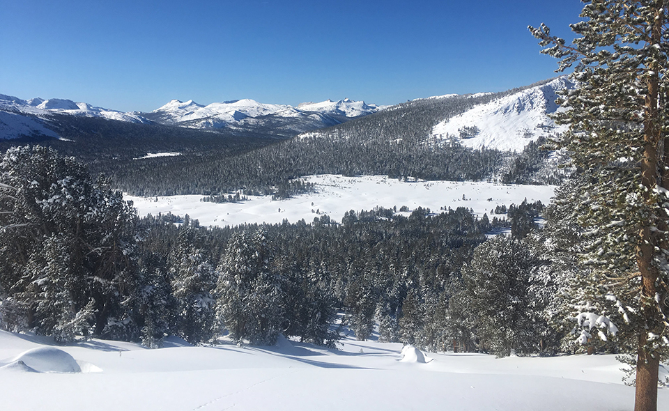 Clear skies and Dana Meadows on December 15, 2019 Clear skies and Dana Meadows on December 15, 2019