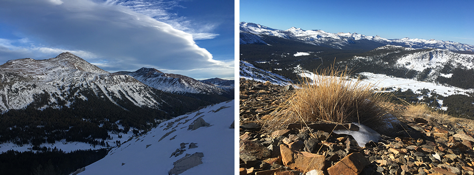 Left photo shows Mt. and Mt. Gibbs on Jan. 15, 2021. Right photo shows Dana Meadows from the slopes of Mt. Dana on January 16, 2021. Not much snow. Left photo shows Mt. and Mt. Gibbs on Jan. 15, 2021. Right photo shows Dana Meadows from the slopes of Mt. Dana on January 16, 2021.