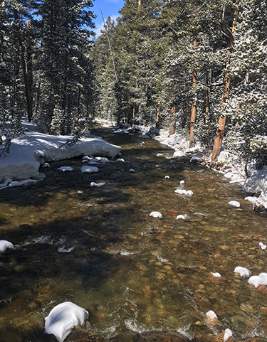 The Dana Fork after snowfall on April 16, 2018. The Dana Fork after snowfall on April 16, 2018.