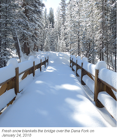 Snow covered bridge across the Dana Fork in January 2018.