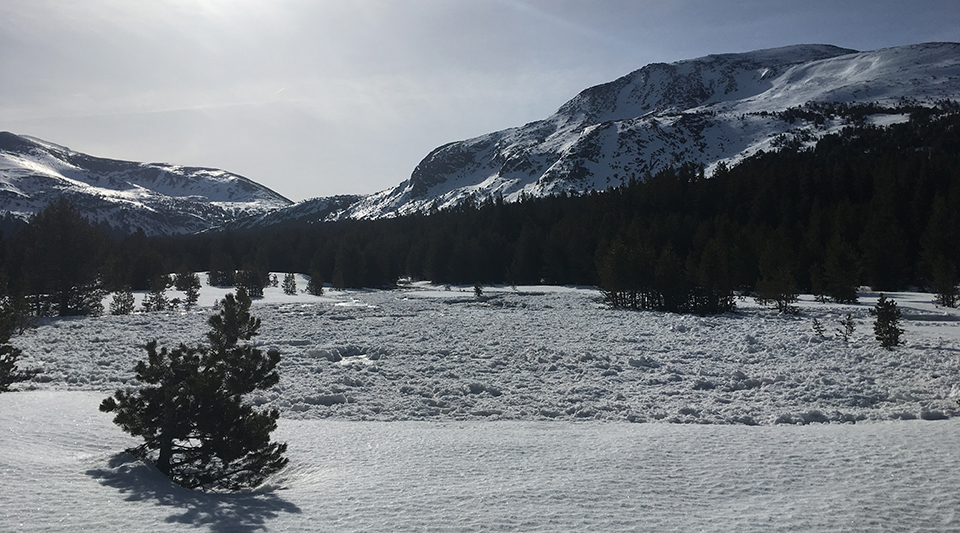 Flooding of the Dana Fork of the Tuolumne River at Mammoth Meadow. 