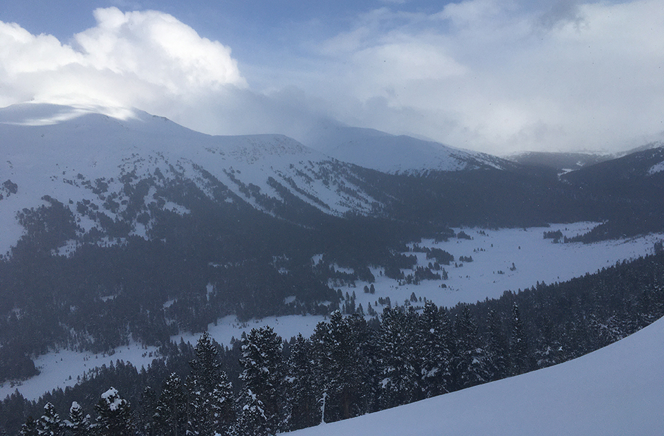 Dana Meadows with snow on March 20, 2020.