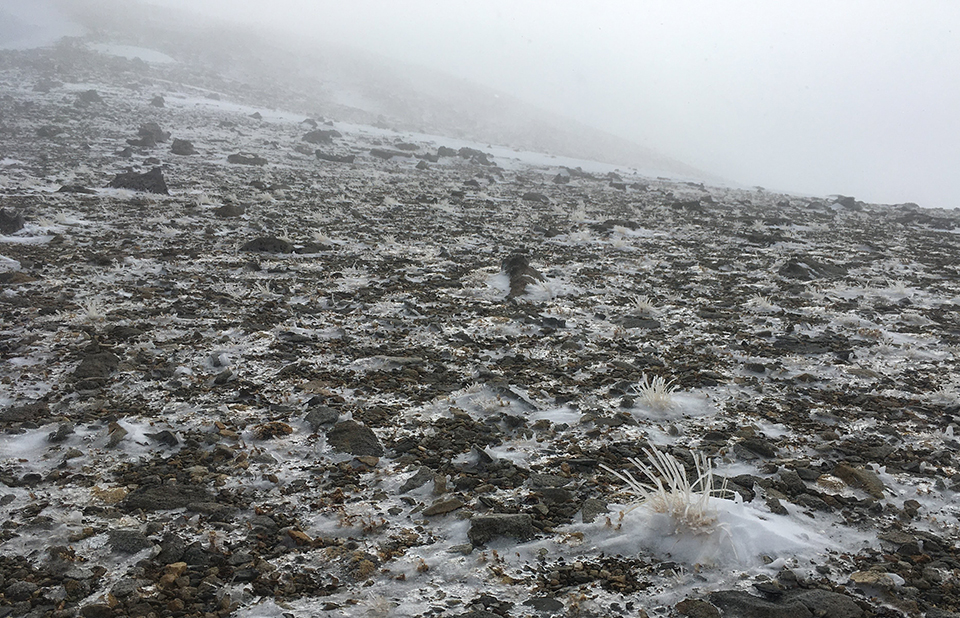 Freezing rain and rocky terrain on the Dana saddle on January 30, 2020. Freezing rain and rocky terrain on the Dana saddle on January 30, 2020.