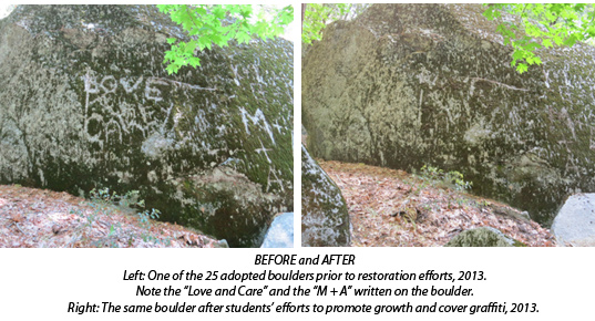 BEFORE and AFTER Left: One of the 25 adopted boulders prior to restoration efforts, 2013. Note the “Love and Care” and the “M + A” written on the boulder. Right: The same boulder after students’ efforts to promote growth and cover graffiti, 2013. BEFORE and AFTER Left: One of the 25 adopted boulders prior to restoration efforts, 2013. Note the “Love and Care” and the “M + A” written on the boulder. Right: The same boulder after students’ efforts to promote growth and cover graffiti, 2013.