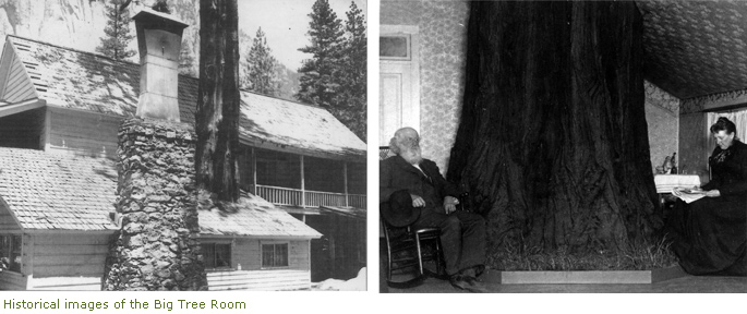 Historical images of the Big Tree Room and James Hutchings